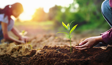 MMS Sustainability partners and memberships