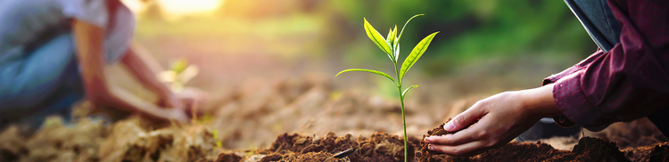 MMS Sustainability partners and memberships